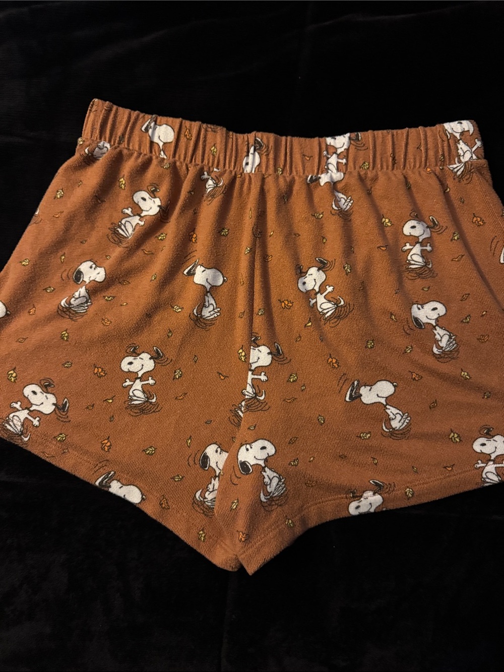 American Eagle Outfitters Brown Snoopy Pajama Set - Picture 6 of 8